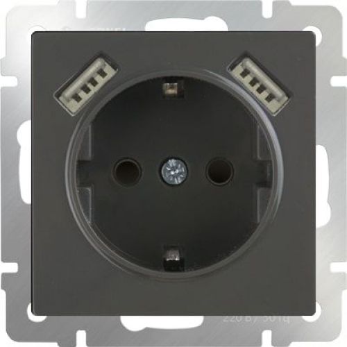 Розетка с заземлением, шторками и USBх2 (серо коричневый), WL07 SKGS USBx2 IP20, Werkel